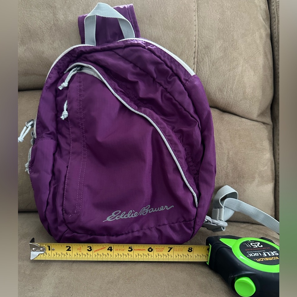 Eddie Bauer Mini Crossbody Backpack